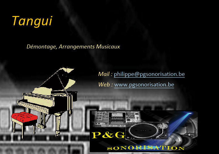 Tangui_Equipe_Entete_P&G_Sonorisation_jeux_de_lumiere_soiree_DJ_Video_evenements_fetes_Belgique_hainaut_leuze_Tournai_mons